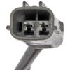 DWRT-741604