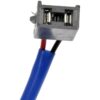 DWRT-741663