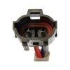 DWRT-741695