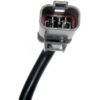 DWRT-741755