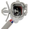 DWRT-741800
