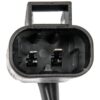 DWRT-741837