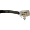 DWRT-742616
