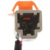 DWRT-746304