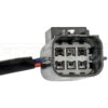 DWRT-748066