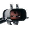 DWRT-748538