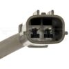 DWRT-748618