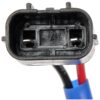 DWRT-748756