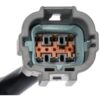 DWRT-748918