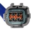 DWRT-748919
