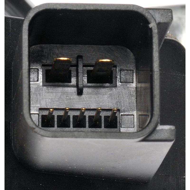 DWRT-751538