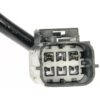 DWRT-751634