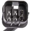 DWRT-751783
