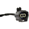 DWRT-904856