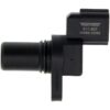 DWRT-917607