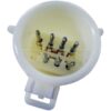 DWRT-955009