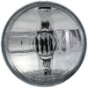 DWRT-1631271