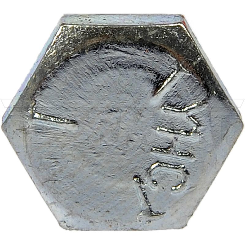 DWRT-170012
