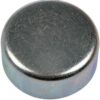 DWRT-555021