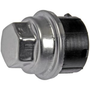 DORMAN 611-639 Chrome Wheel Nut Cover M24-2.0 Mod, Hex 3/4 In.