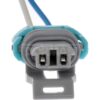 DWRT-645746