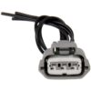 DWRT-645787