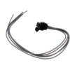 DWRT-645902