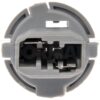 DWRT-645935