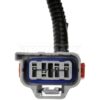 DWRT-645936