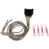 DWRT-645940