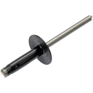 DORMAN 700-038 Blind Rivet Retainer-GM-Diameter 3/16 In.