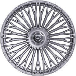 DLHS-507S2295940