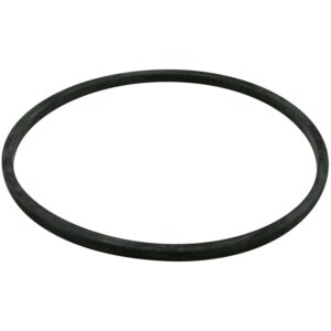 BALDWIN FILTERS G369-B Buna N Groove Gasket (with Blue Stripe)