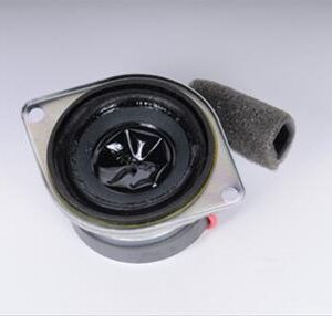 ACDelco 10302944 Radio Speaker