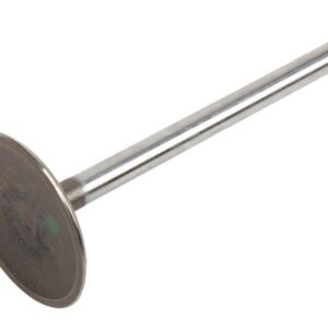 ACDelco 12564494 Engine Intake Valve