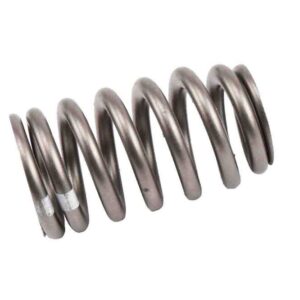 ACDelco 12621428 LS7 Beehive-Style Valve Springs