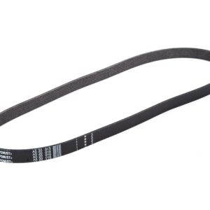ACDelco 12621991 V-Ribbed Serpentine Belt
