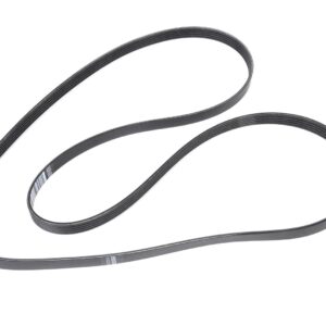 ACDelco 12677093 V-Ribbed Serpentine Belt