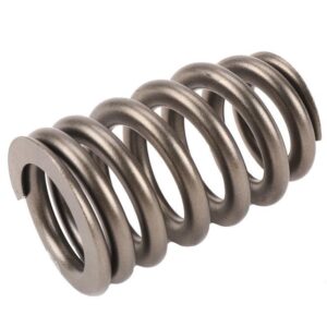 ACDelco 12713265 Valve Spring