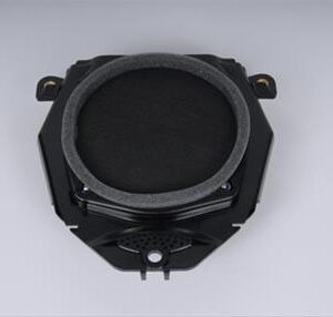 ACDelco 15757321 Rear Driver Side Door Radio Speaker
