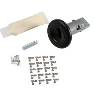ACDelco 15799769 Ignition Lock Cylinder (Programming Required)