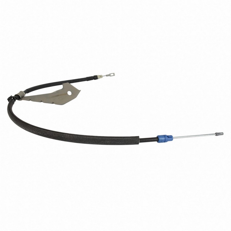 BBRH-BRCA362