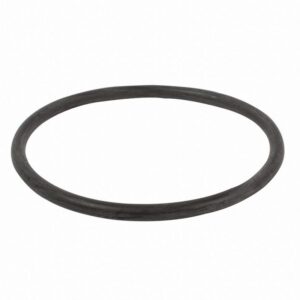 Motorcraft RG630 Water Neck Gasket and O-ring