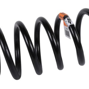 ACDelco 22816872 Rear Coil Spring