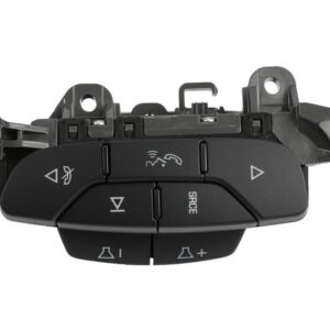 ACDelco 25851951 Ebony Radio Control Switch