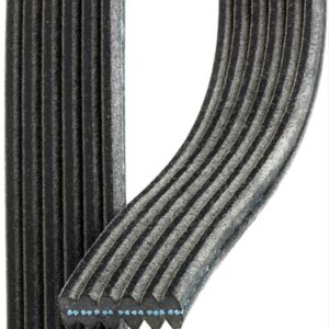 ACDelco 6DK973 VRibbed Serpentine Belt