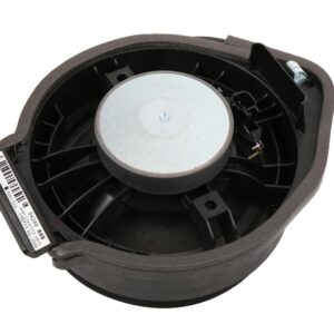 ACDelco 84248849 Automotive Speaker