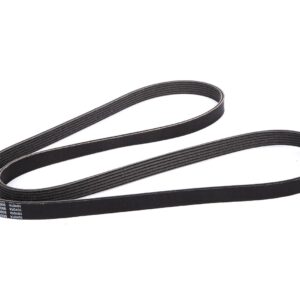 ACDelco 88971576 V-Ribbed Serpentine Belt