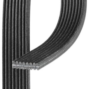 ACDelco 8DK1403 VRibbed Serpentine Belt