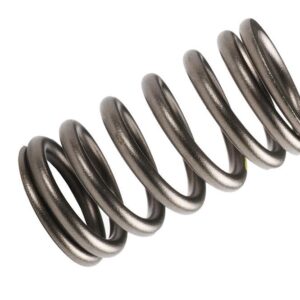 ACDelco 98025825 Engine Valve Spring